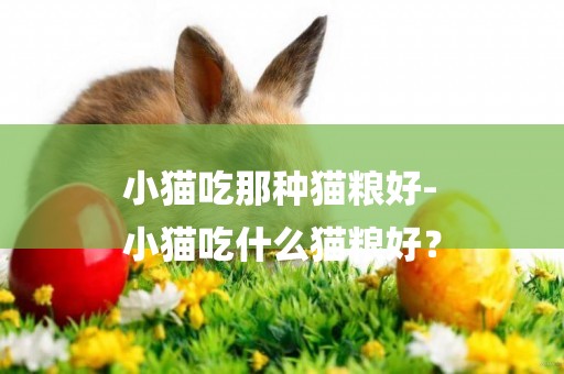 小貓吃那種貓糧好-
小貓吃什么貓糧好？