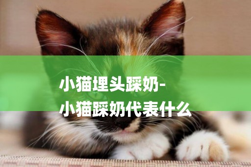 小貓埋頭踩奶-
小貓踩奶代表什么