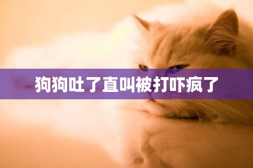 狗狗吐了直叫被打嚇瘋了