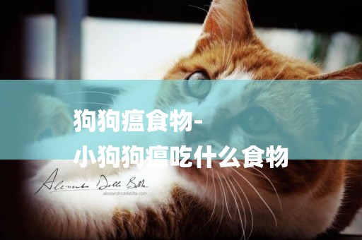 狗狗瘟食物-
小狗狗瘟吃什么食物