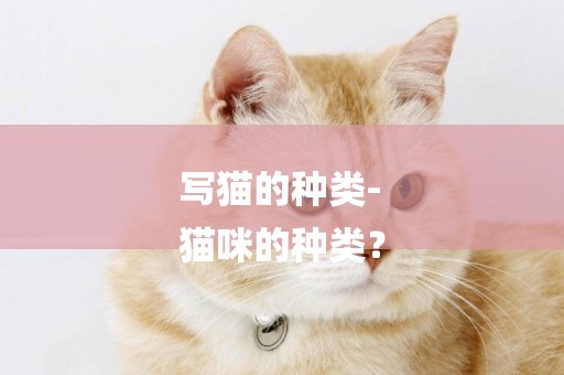 寫貓的種類-
貓咪的種類？