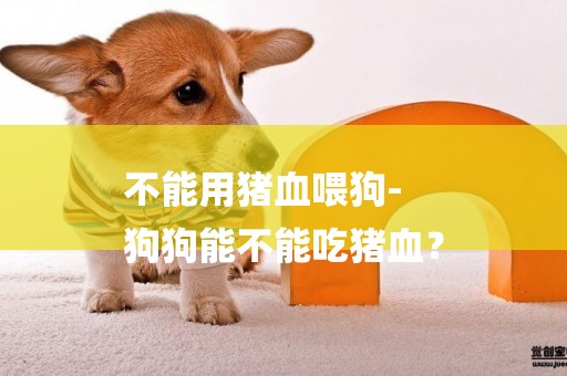不能用豬血喂狗-
狗狗能不能吃豬血？