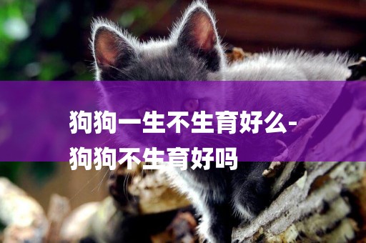 狗狗一生不生育好么-
狗狗不生育好嗎