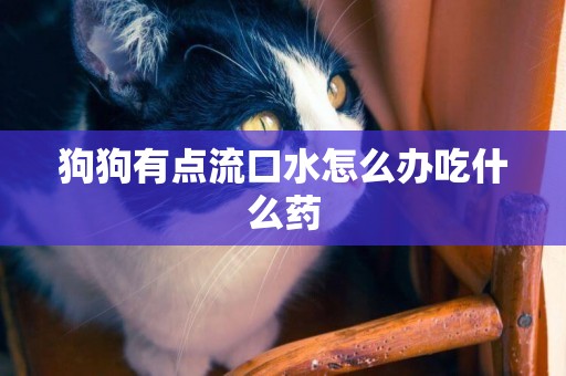 狗狗有點流口水怎么辦吃什么藥
