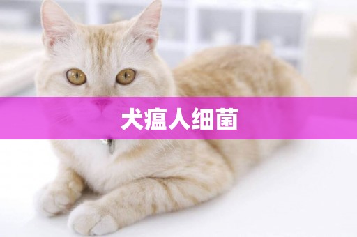 犬瘟人細菌