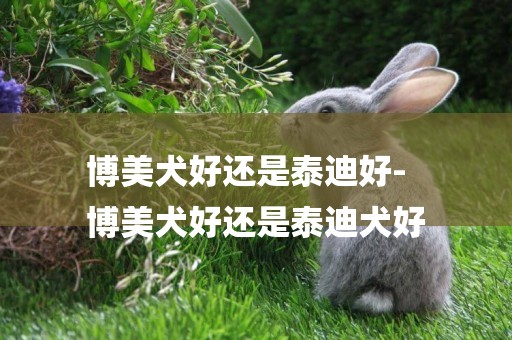 博美犬好還是泰迪好-
博美犬好還是泰迪犬好