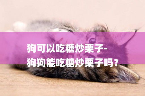 狗可以吃糖炒栗子-
狗狗能吃糖炒栗子嗎？