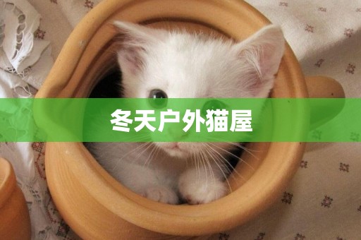 冬天戶外貓屋