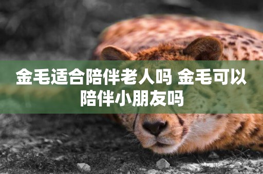 金毛適合陪伴老人嗎 金毛可以陪伴小朋友嗎