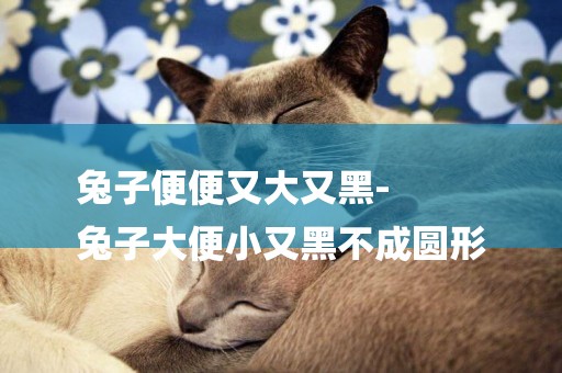 兔子便便又大又黑-
兔子大便小又黑不成圓形
