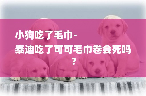 小狗吃了毛巾-
泰迪吃了可可毛巾卷會死嗎？