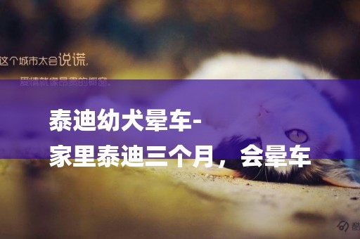 泰迪幼犬暈車-
家里泰迪三個月，會暈車