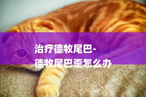 治療德牧尾巴-
德牧尾巴歪怎么辦