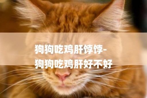 狗狗吃雞肝餑餑-
狗狗吃雞肝好不好