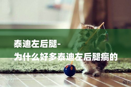 泰迪左后腿-
為什么好多泰迪左后腿瘸的