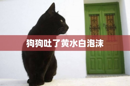 狗狗吐了黃水白泡沫