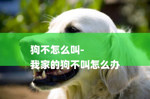 狗不怎么叫-
我家的狗不叫怎么辦