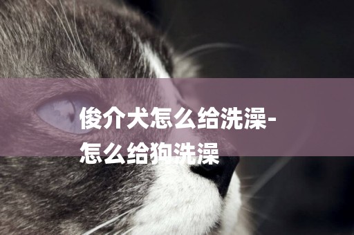 俊介犬怎么給洗澡-
怎么給狗洗澡
