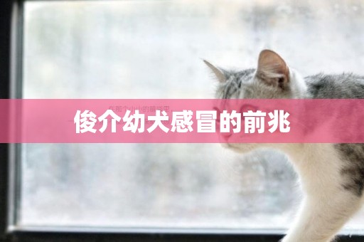 俊介幼犬感冒的前兆