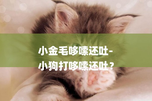 小金毛哆嗦還吐-
小狗打哆嗦還吐？