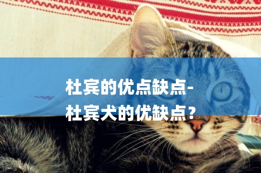 杜賓的優點缺點-
杜賓犬的優缺點？