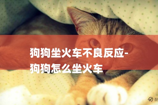 狗狗坐火車不良反應-
狗狗怎么坐火車