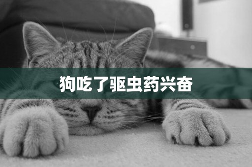 狗吃了驅蟲藥興奮