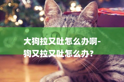 大狗拉又吐怎么辦啊-
狗又拉又吐怎么辦？