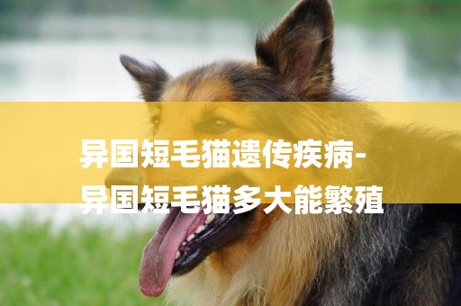 異國短毛貓遺傳疾病-
異國短毛貓多大能繁殖