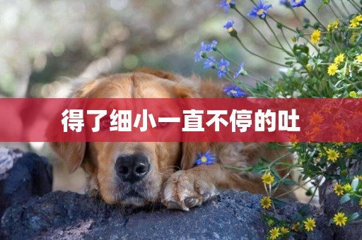 得了細小一直不停的吐