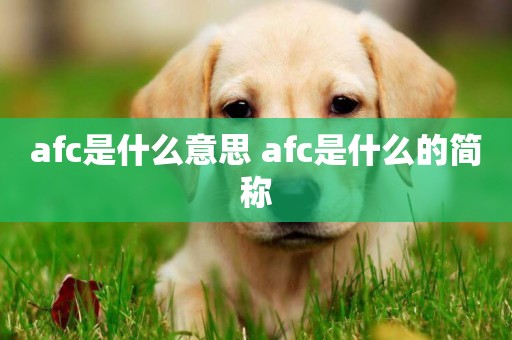 afc是什么意思 afc是什么的簡稱