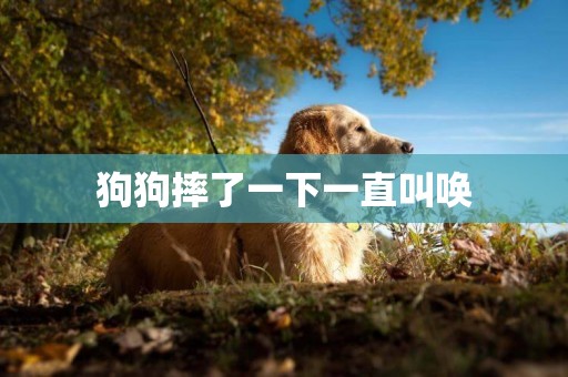 狗狗摔了一下一直叫喚
