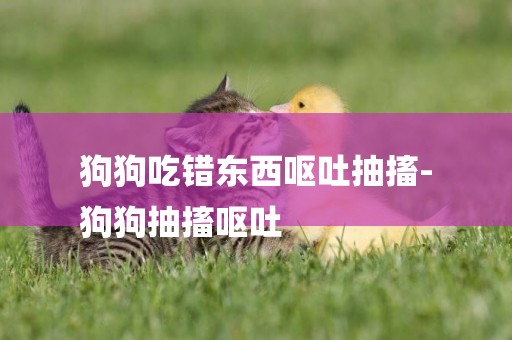 狗狗吃錯東西嘔吐抽搐-
狗狗抽搐嘔吐