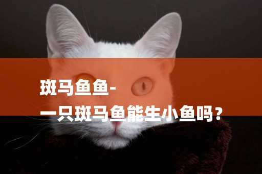 斑馬魚魚-
一只斑馬魚能生小魚嗎？