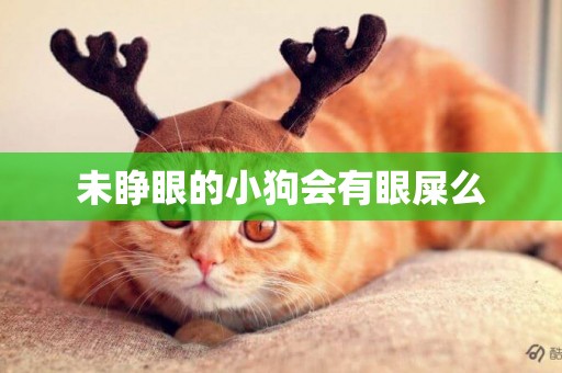 未睜眼的小狗會有眼屎么