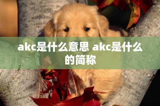 akc是什么意思 akc是什么的簡稱