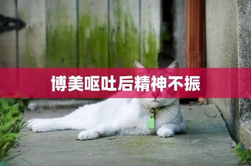 博美嘔吐后精神不振