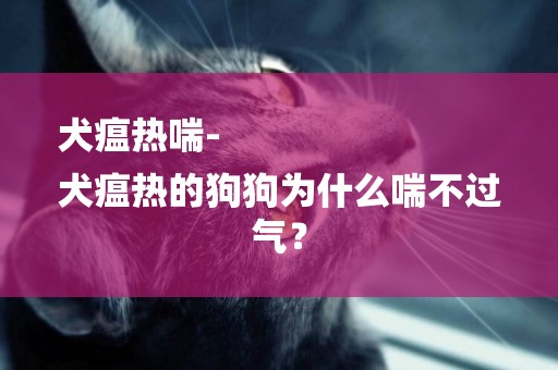 犬瘟熱喘-
犬瘟熱的狗狗為什么喘不過氣？