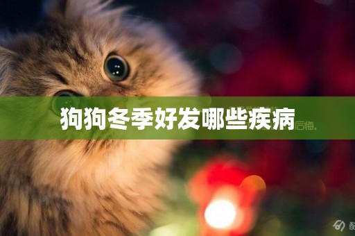 狗狗冬季好發哪些疾病