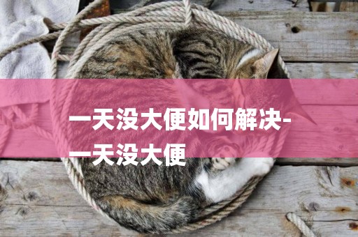 一天沒大便如何解決-
一天沒大便