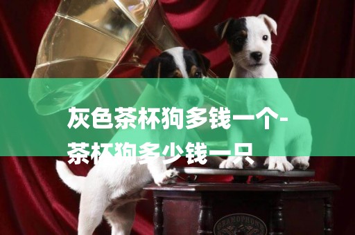 灰色茶杯狗多錢一個-
茶杯狗多少錢一只