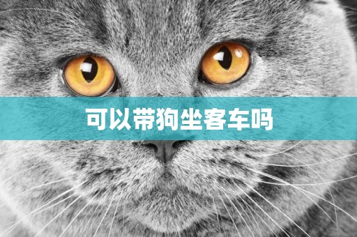 可以帶狗坐客車嗎