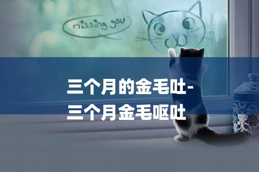 三個月的金毛吐-
三個月金毛嘔吐