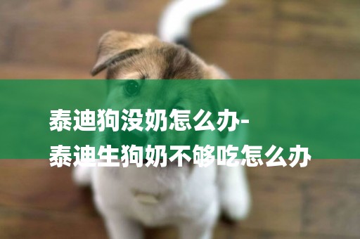 泰迪狗沒奶怎么辦-
泰迪生狗奶不夠吃怎么辦