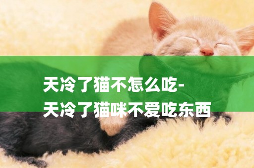 天冷了貓不怎么吃-
天冷了貓咪不愛吃東西