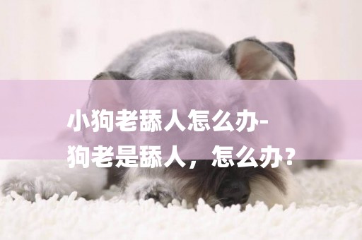 小狗老舔人怎么辦-
狗老是舔人，怎么辦？