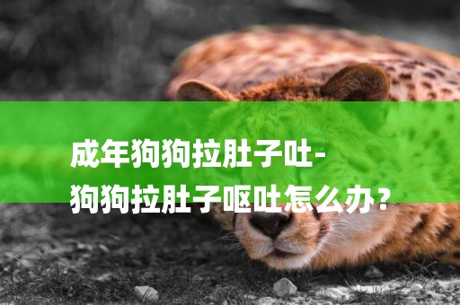 成年狗狗拉肚子吐-
狗狗拉肚子嘔吐怎么辦？