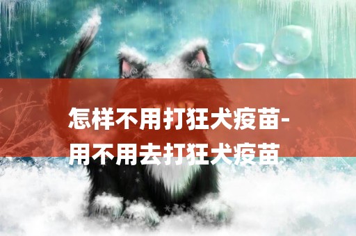 怎樣不用打狂犬疫苗-
用不用去打狂犬疫苗