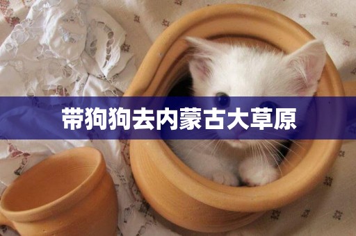 帶狗狗去內蒙古大草原