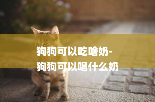 狗狗可以吃啥奶-
狗狗可以喝什么奶